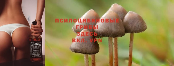 ECSTASY Лиски