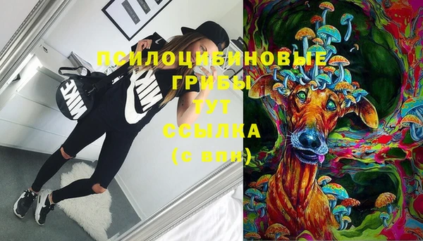 мет Магас
