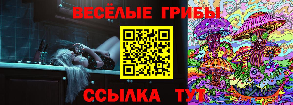 Псилоцибиновые грибы мицелий Малоярославец