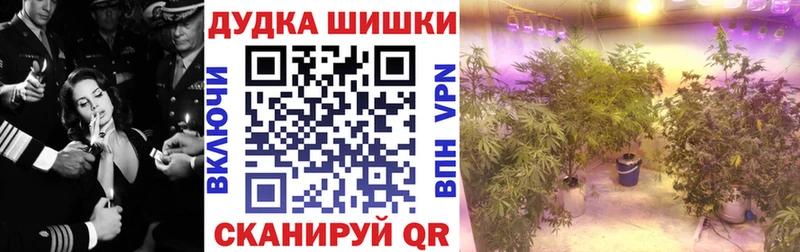 Шишки марихуана планчик  как найти закладки  Малоярославец 